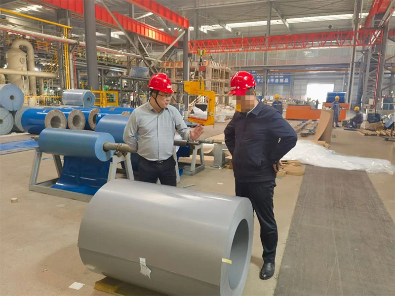 Grain-Oriented Electrical Steel Inspection
