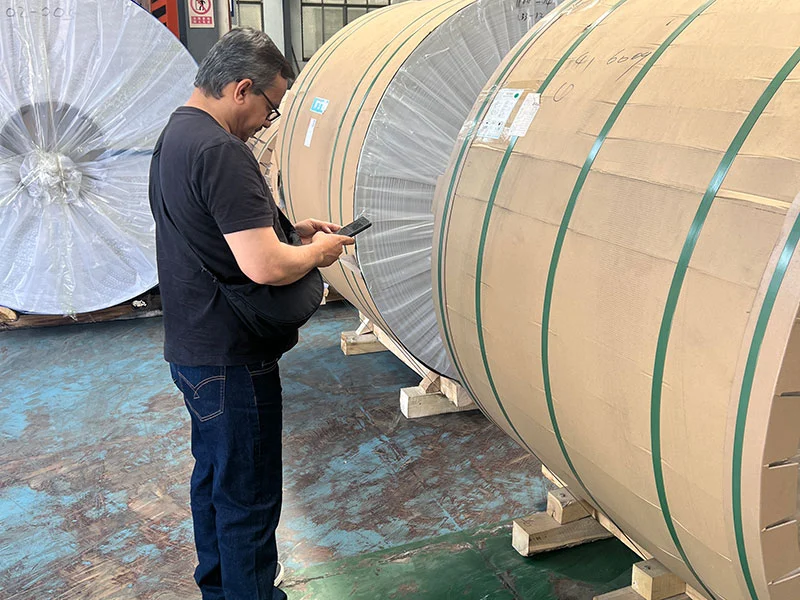 Grain-Oriented Electrical Steel Inspection Feedback