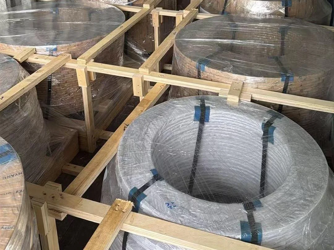 Slit CRGO strip coils stood eye-vertical and braced with timber inside the container, viewed down the length of the load