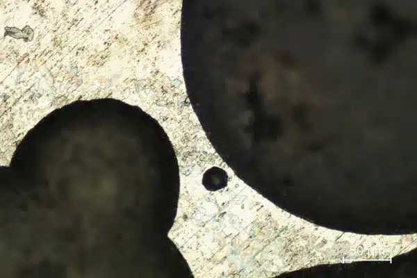 Micrograph of corrosion pits in a 17% chromium stainless steel after exposure to sodium chloride solution, with a 50 micrometre scale bar